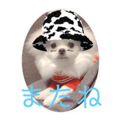 aoi_20210311122926