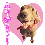 RUUKIIS'S Sticker