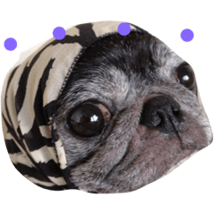 最新 とぼけた顔 とぼけた顔文字