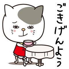 mochi cat -everyday-