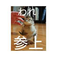 Junko_20210311140538