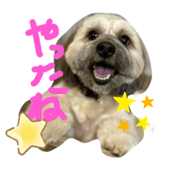 ayumi_20210311154038