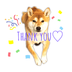 MICHIKO_20210311174849