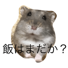 I am omochi!!