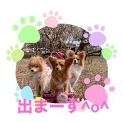 yukari_20210311210144