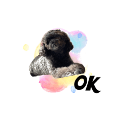 HIKARI_20210311221027