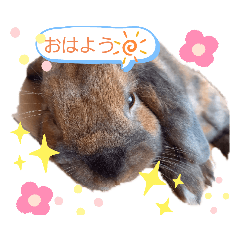 kanae_20210311184424