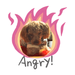 Mr.dog_20210311220906