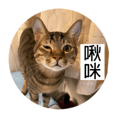 小寶可愛の瞬間2