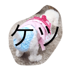 toy toy
