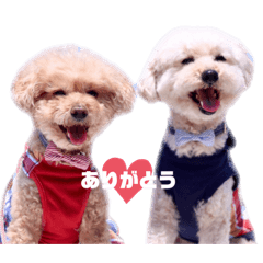 yume&sou