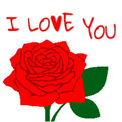 "I LOVE YOU" Red roses