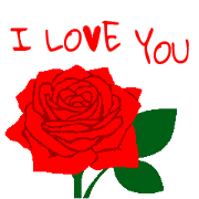 "I LOVE YOU" Red roses