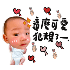 艾蜜拉的超大家庭