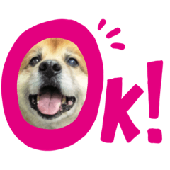 HOKORI_20210312092526