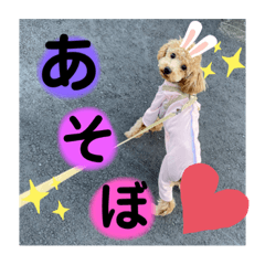 CoCoA_20210312150746