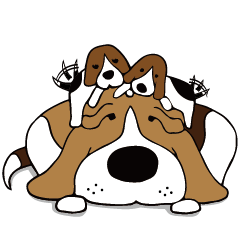 Beagle dog GAKU,COCO,IKURA