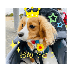 miki_20210312161856