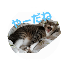 chie_20210312190348