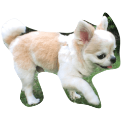 chip0424