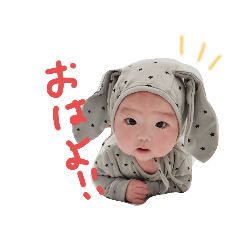 hikaristamp1