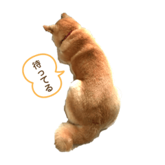 chihiro_20210312235430