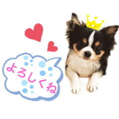 MICHIKO_20210313002033