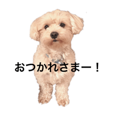 kayo_20210313010851