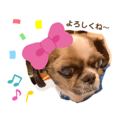 miki_20210313090301