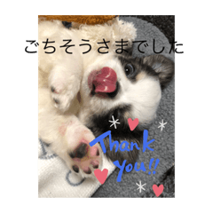 Chie_20210312220549