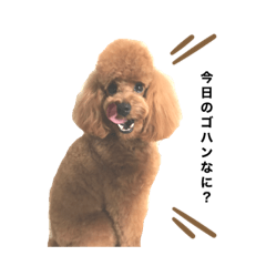 tomomi_20210312184828