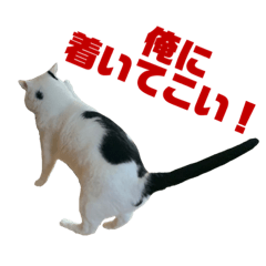 Chiaki.O_20210313033434