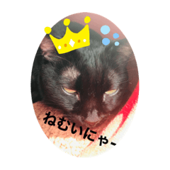 Rina_20210313093733