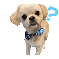 miyuu_20210312213902