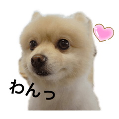 chie_20210312222429