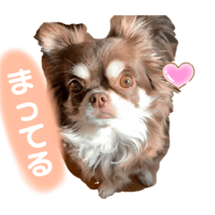 chie_20210312232224
