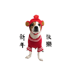 黄小樂的日常