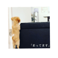 miki_20210313112245