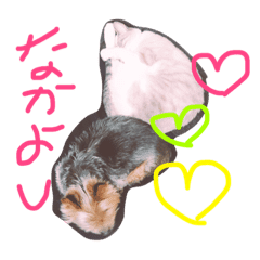 犬と猫 家族だよ Line スタンプ Line Store