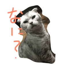 My name is Mei.