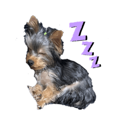 remochiyo_20210313121627