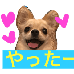 Pu-chan's daily routine