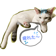 saori_20210313203310