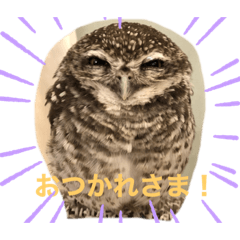 tepeiman_20210313211627