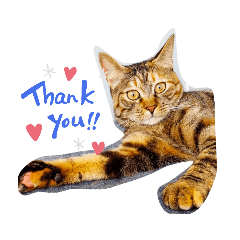 ayumi_20210313230202