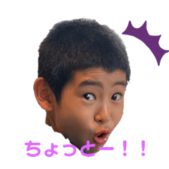 falcon_20210314103640