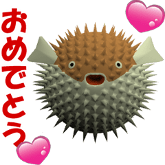 (In Japanese) CG Porcupinefish (1)