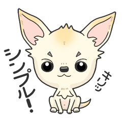 Everyday Words with a Happy Chihuahua