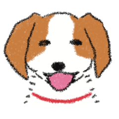 かわいいおイヌ