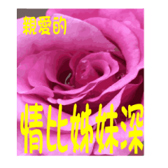Flower language by Hu and Lu